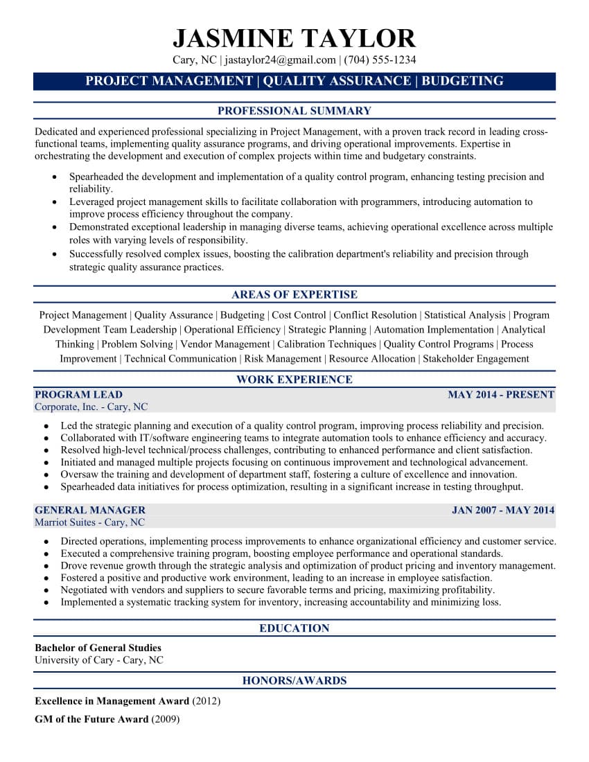 Modern Professional resume template preview